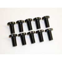 ARP- Flywheel Bolt Set -VR6